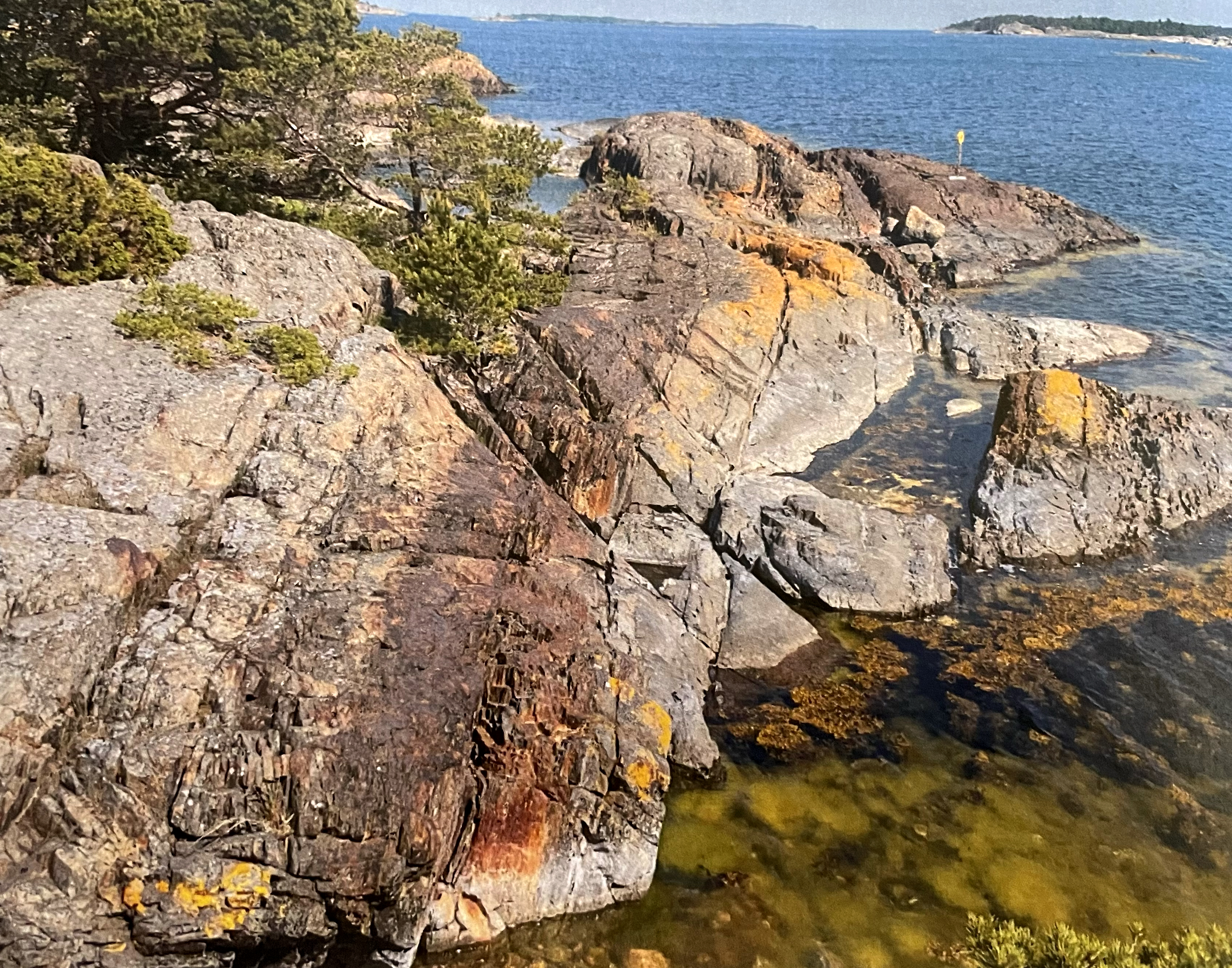 North - Additional image